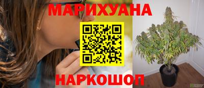 каннабис Кунгур