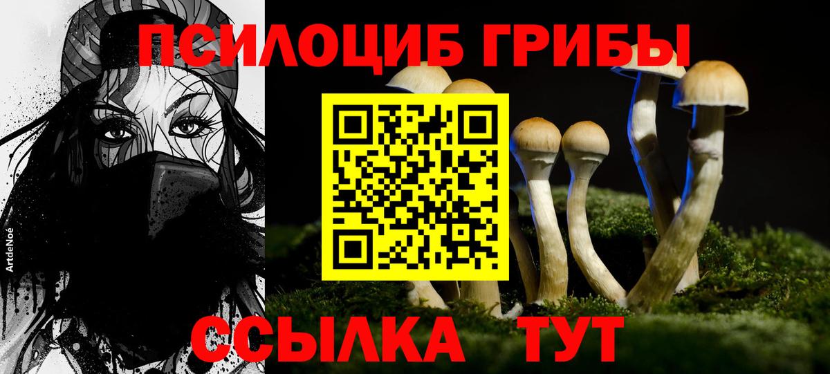Галлюциногенные грибы Magic Shrooms Чусовой